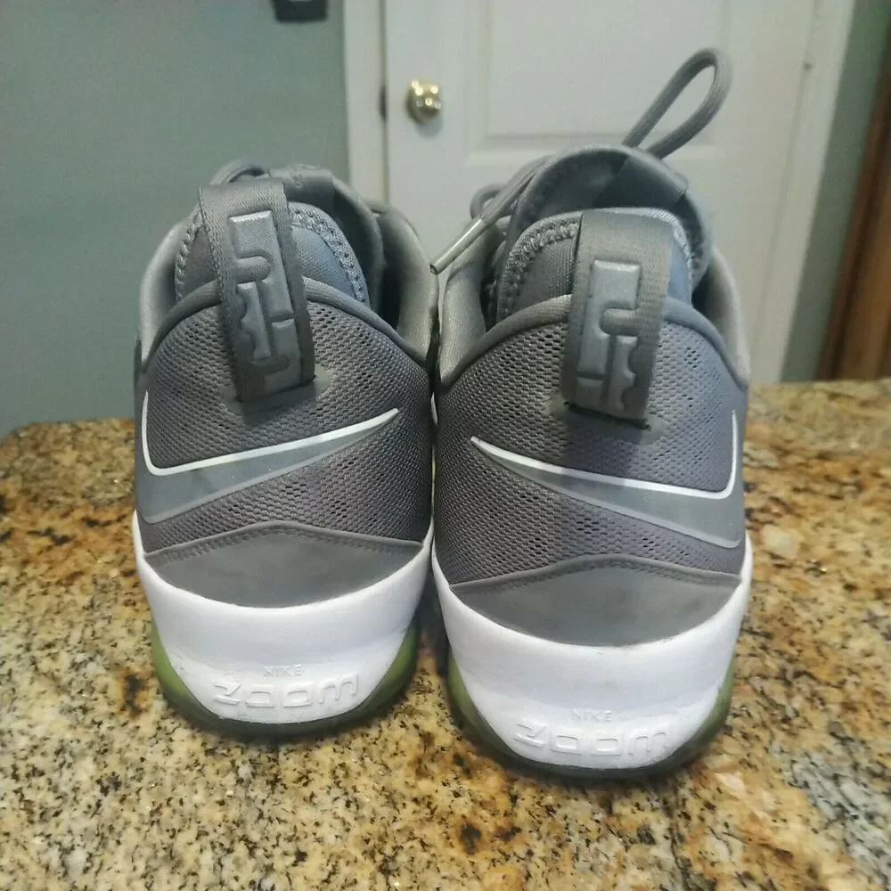 Nike Air Zoom Max LeBron James XIV 14 Low Dunkman Dust Reflect Silver 878636 005